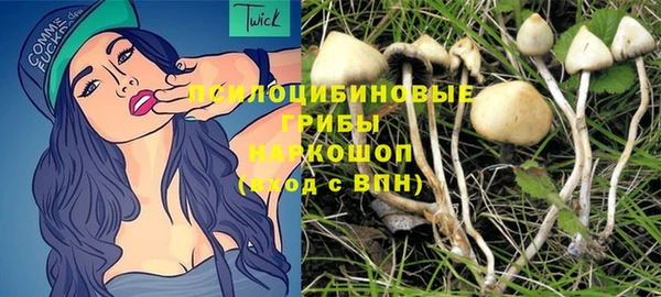 метадон Абаза