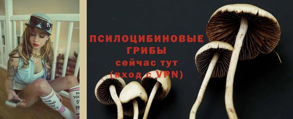 прущий лед Абдулино